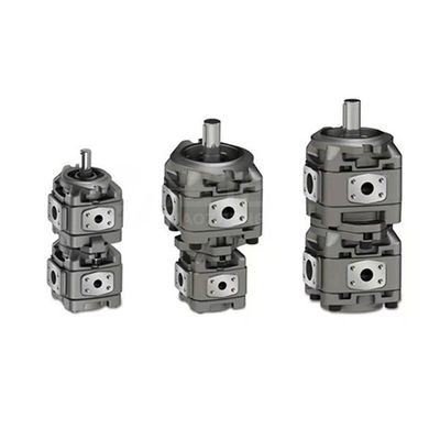 맞춤형 Cast Iron Gear 펌프 수압 비커 5001417-001